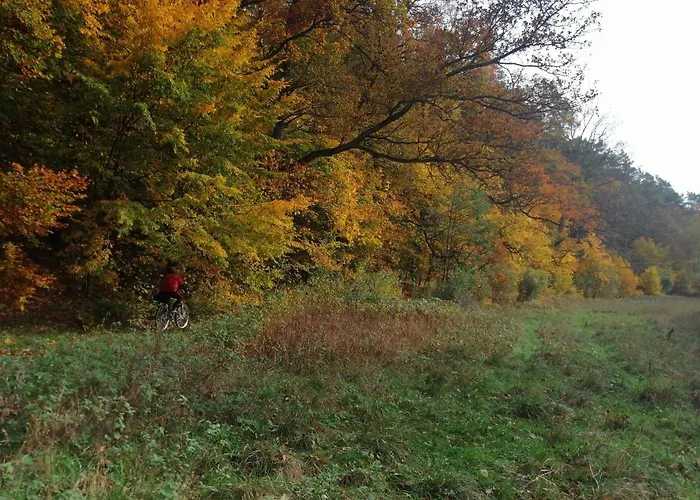 Przystanek Dluzek