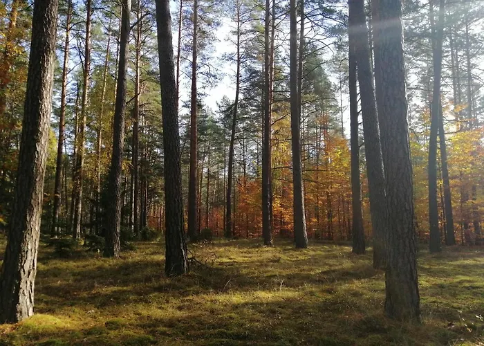Przystanek Dluzek