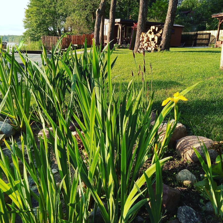 Holiday home Przystanek Dluzek