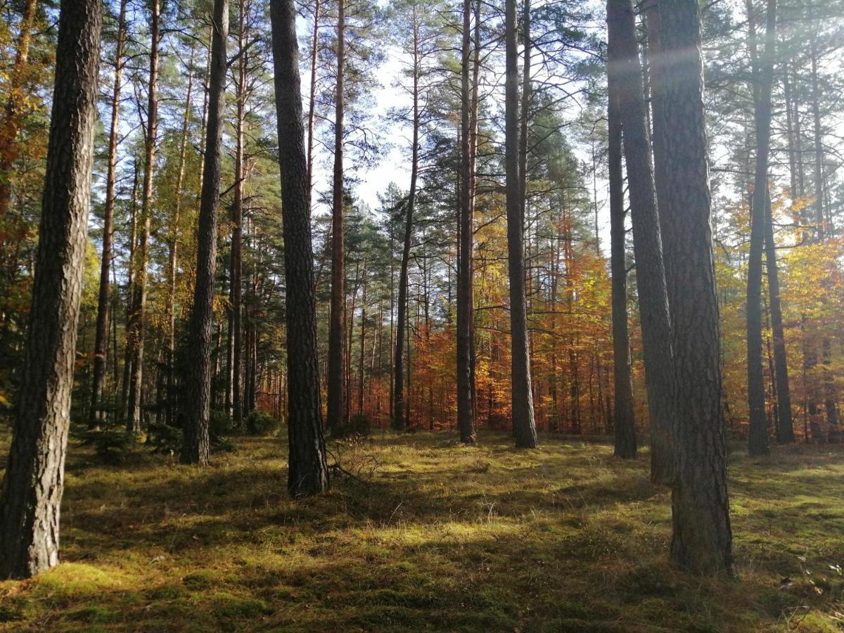 Przystanek *